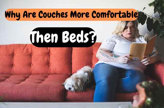 Why Are Couches More Comfortable Than Beds?