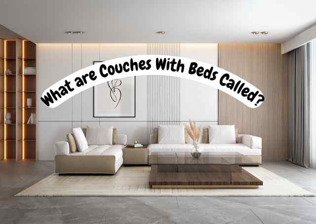 What are Couches With Beds Called?