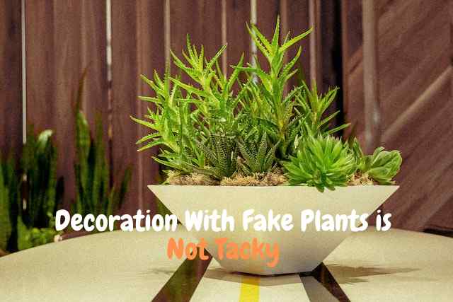 Is Decoration With Fake Plants Tacky?