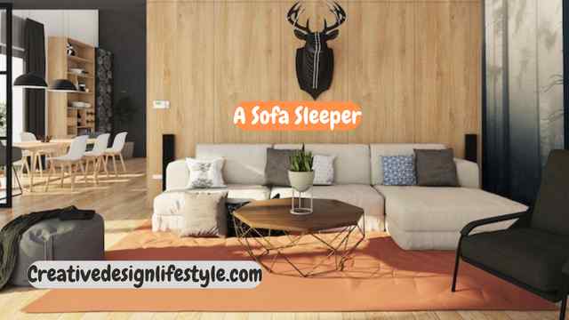 Which Is Better Sofa Bed Or a Sofa Sleeper?